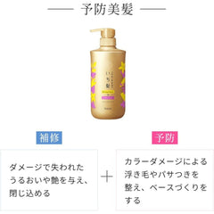 ICHIKAMI Damage Repair & Color Care Shampoo 480ml