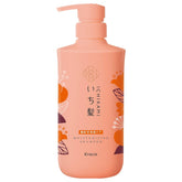 ICHIKAMI Dense W Moisturizing Care Shampoo 480ml