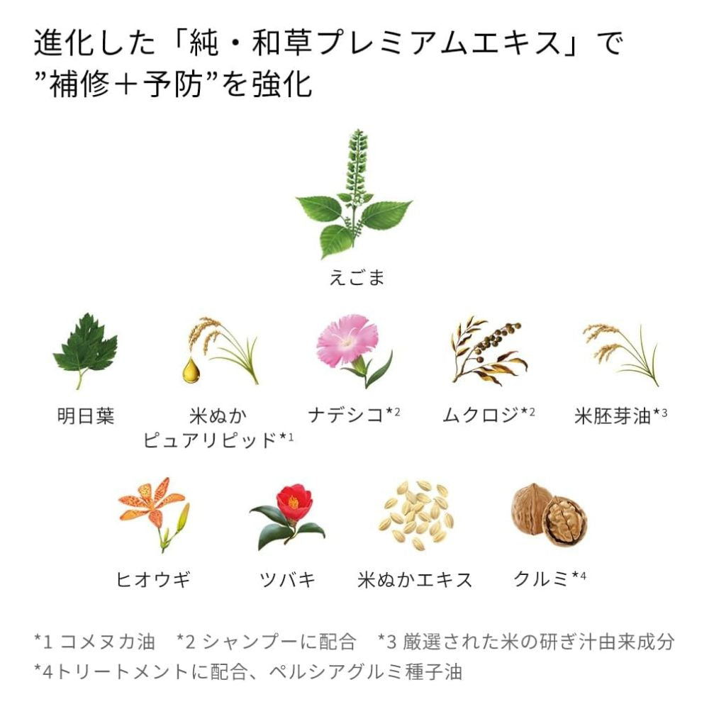 ICHIKAMI Damage Repair & Color Care Treatment 230ml