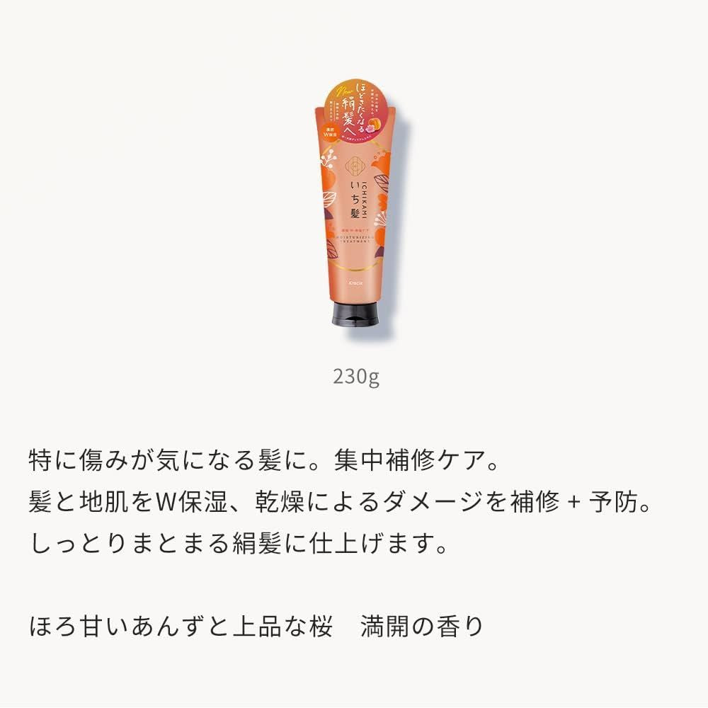 ICHIKAMI Dense W Moisturizing Care Treatment 230ml
