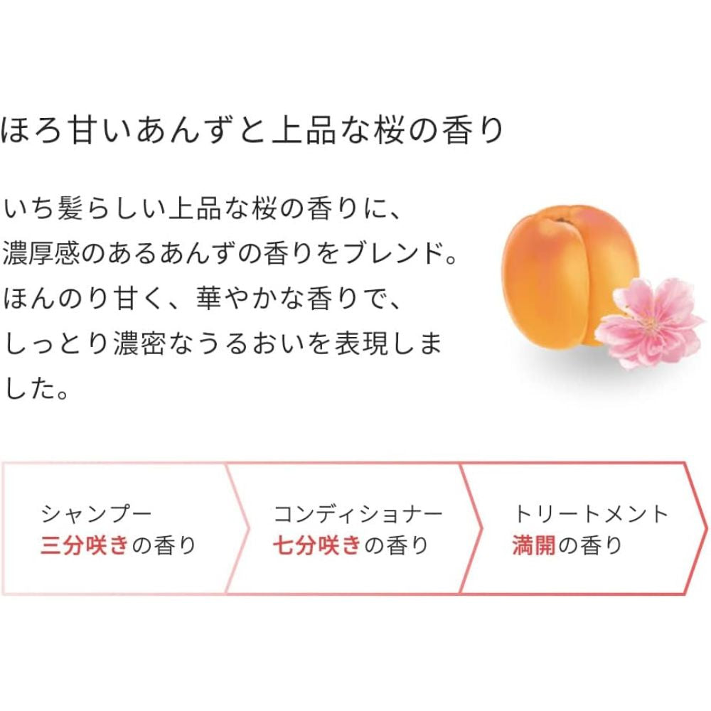 ICHIKAMI Dense W Moisturizing Care Treatment 230ml