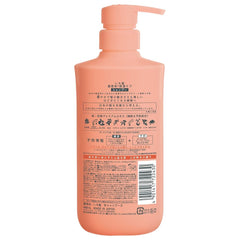 ICHIKAMI Dense W Moisturizing Care Shampoo 480ml