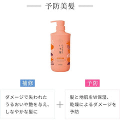 ICHIKAMI Dense W Moisturizing Care Shampoo 480ml